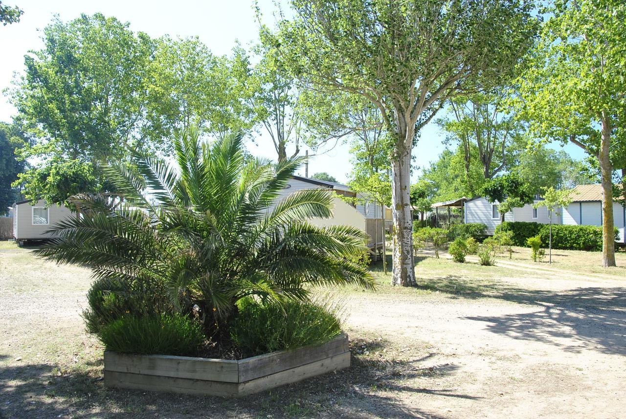 Camping La Dune Vias Exterior photo